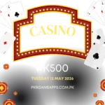 PK500 LOGO