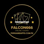 Falcon666