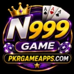 N999 Image